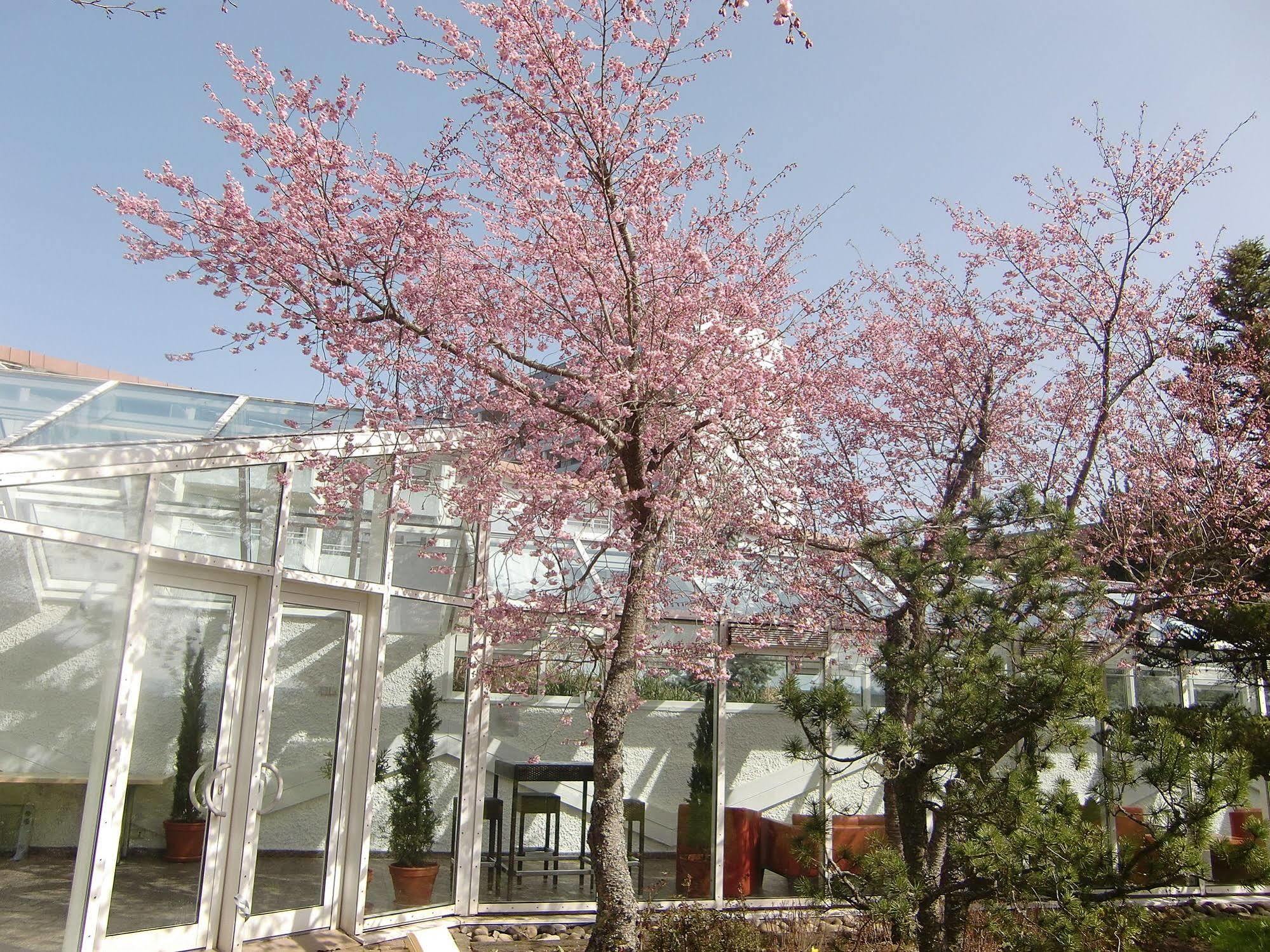 Dekra Congresshotel Wart 阿尔滕斯泰希 外观 照片